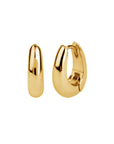 Nefertiti Hoops | Gold